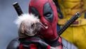 Disney+ gooit Deadpool online en laat series van 2025 zien