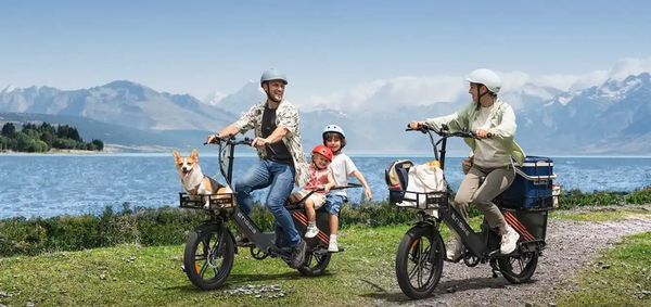 Goedkope e-bike met enorme range is ideaal voor veel bagage