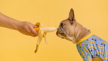 Is een banaan eten voor het slapen beter voor je nachtrust?