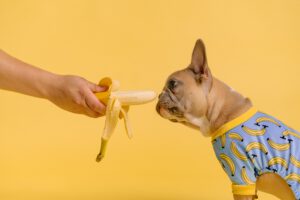 Is een banaan eten voor het slapen beter voor je nachtrust?