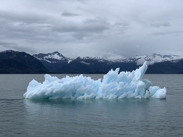 Klimaatverandering